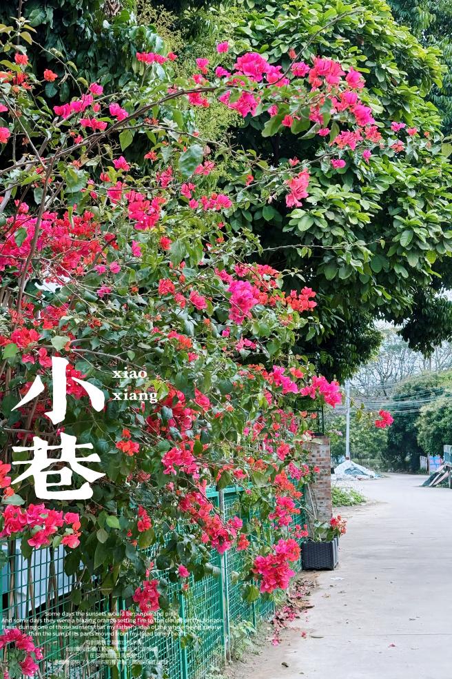 松湖春韵，巾帼绽风华 —— 三八活力团建行