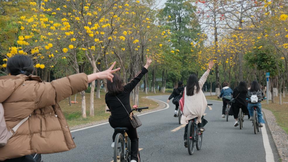 松湖春韵，巾帼绽风华 —— 三八活力团建行